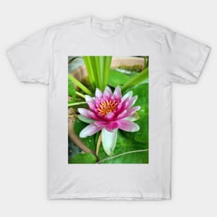 water lily T-Shirt